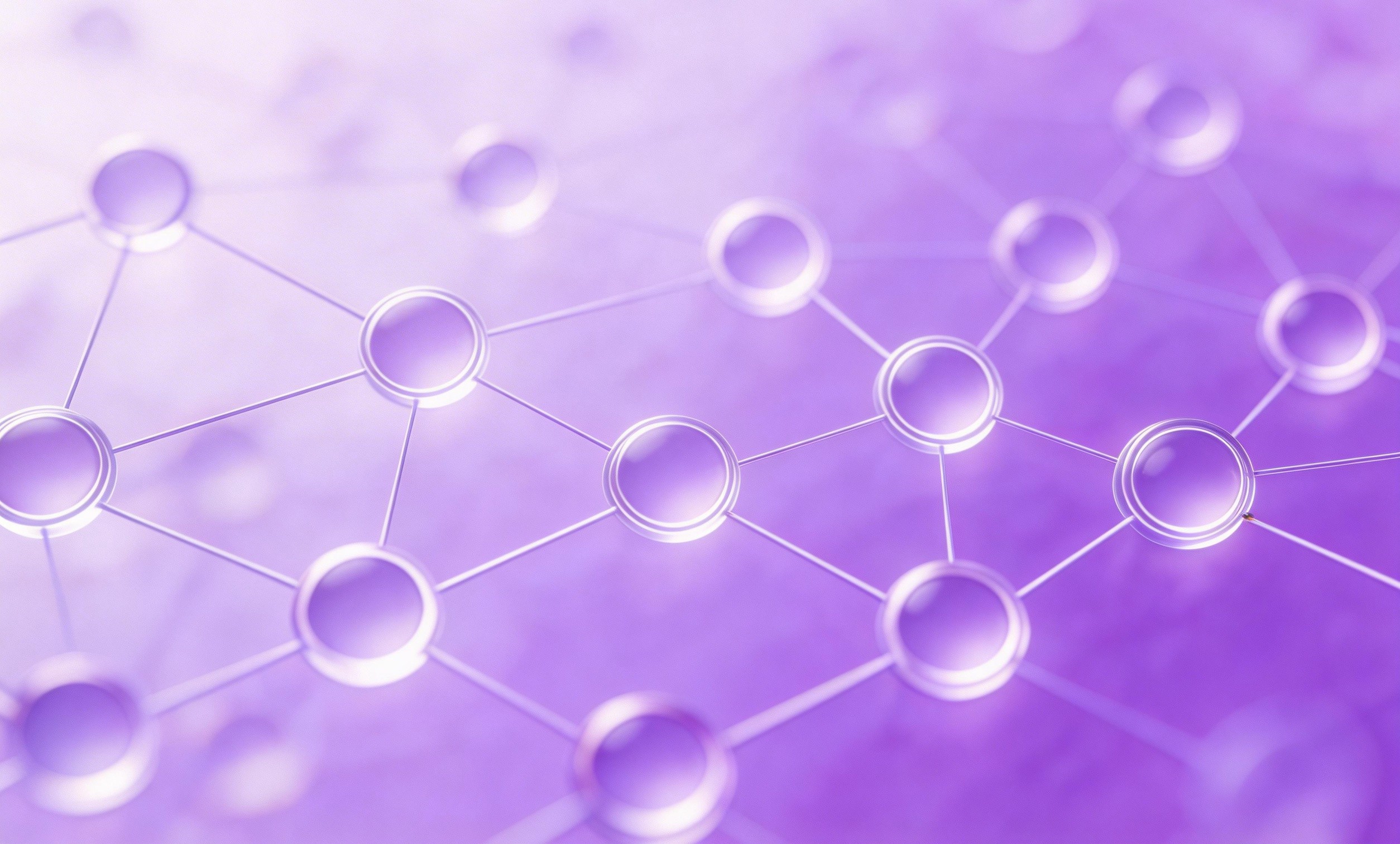 網站本地化培訓包括哪些模塊?